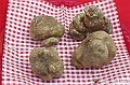 VBS_4262 - Fiera Nazionale del Tartufo Bianco 2024